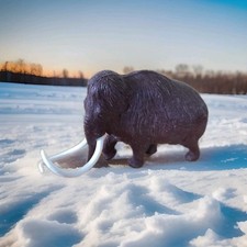 woolly mammoth for sale woolly mammoth for sale PERTH