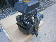 Briggs stratton gas for sale  USA