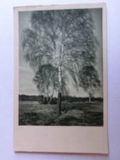 naturfotografie gebraucht kaufen naturfotografie gebraucht kaufen Neu-Ulm