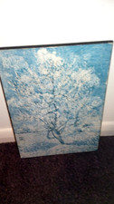 Peach tree blossom for sale  HUNTINGDON