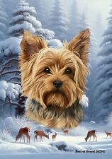 Yorkie puppy cut for sale  Englishtown