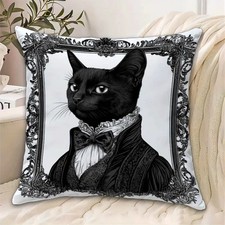 Housse coussin chat d'occasion  Cergy-