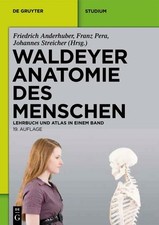 Waldeyer anatomie menschen gebraucht kaufen  Stuttgart