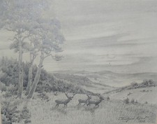 Rotwild victor stoetzner gebraucht kaufen Rotwild victor stoetzner gebraucht kaufen  Deutschland