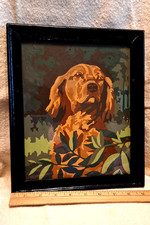 Vintage irish setter for sale  Garrett