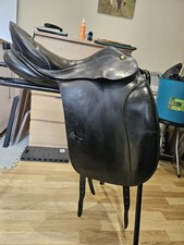 Prestige apaloosa olympia for sale  LONGFIELD