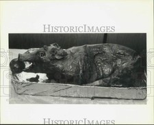 1991 press photo for sale  Memphis