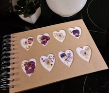 Kleines album gepresste gebraucht kaufen  Wedemark