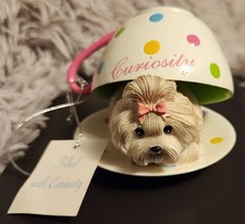 Hamilton coll. shih for sale  Chicago