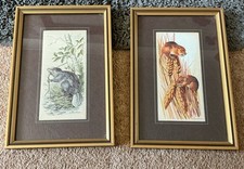 Cash coventry woven for sale  BURTON-ON-TRENT