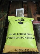 Premium japanese juniper for sale  Gainesville