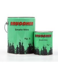 Smalto vernice nitro usato  Italia