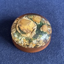 Vintage lucite crab for sale  KIDDERMINSTER