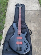 Maruszczyk frog beta for sale  San Diego
