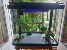 Fish tank great for sale  TROWBRIDGE