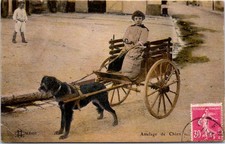 Attelage chien laitiere d'occasion Attelage chien laitiere d'occasion  France