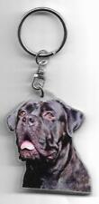 Cane corso porte d'occasion  Concarneau