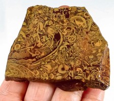 raw agate for sale raw agate for sale Walnut