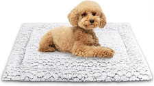 Cuscino per cani usato  Roma