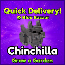 Chinchilla roblox grow for sale  USA