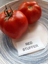 Tomato red stuffer d'occasion  Expédié en Belgium