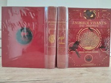 Cornish animaux vivants d'occasion  Le Quesnoy