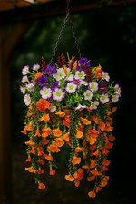 Artificial flower outdoor for sale  HAVERHILL