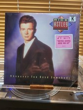 Rick Astley, Whenever You Need Somebody, 1987 1st RCA Stereo, 6822-1-R, VG+/VG  comprar usado  Enviando para Brazil