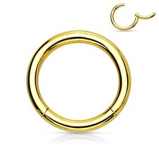 Piercing anneau segment d'occasion  Paris XV