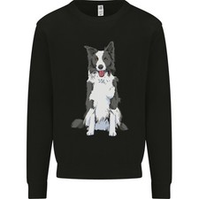 Border collie enfants d'occasion  Expédié en France