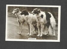 Old original borzoi for sale  RADSTOCK