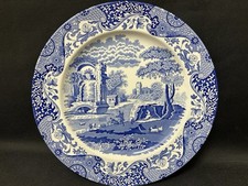 Spode blue italian for sale  Cumming