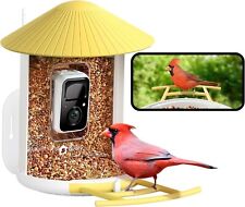 Netvue birdfy smart for sale  Pasadena