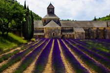 Lavender field art for sale  USA