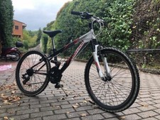 Biciclette mountaibici mtb usato  Negrar
