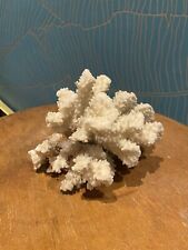 Ramo corallo bianco usato Ramo corallo bianco usato  Roma