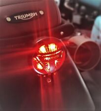 Triumph fanale posteriore usato  Gravina in Puglia