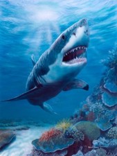Terror deep kevin for sale  Manahawkin