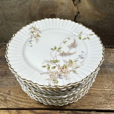 Antique rosenthal r.c. for sale  Appleton