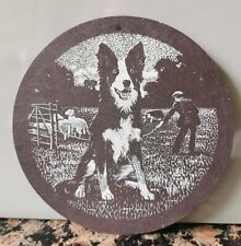 Border collie welsh for sale  IBSTOCK