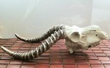 Lifesize resin horned for sale  Philadelphia