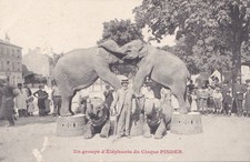 cirque ancien d'occasion  Durtal