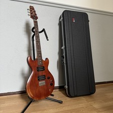 Aria pro 200 gebraucht kaufen  Wittenberg