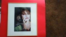 Madonna autographed 8x12 for sale  Ocala