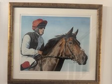 Golden horn frankie for sale  SAWBRIDGEWORTH