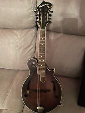 Washburn mandolin for sale  OMAGH