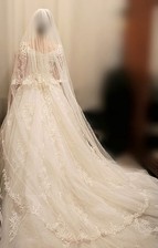 Robe mariée princesse d'occasion  Rillieux-la-Pape
