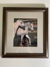 Framed photo white for sale  Cleveland