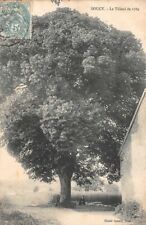 Soucy miel fleurs d'occasion  France