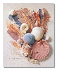 Ocean starfish sea for sale  Springdale